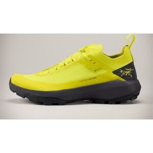 Arc’teryx Alpine GTX Gore Tex Shoe
Size 9.5